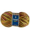Lana Clasica Matizada Ovillo 100gr hipoalergénica Lanaquil