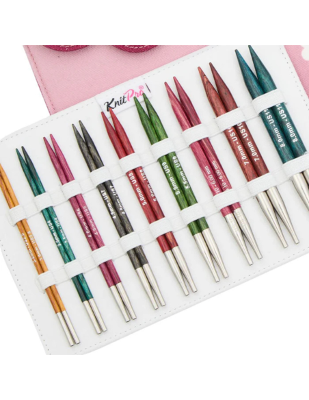 Palillos Intercambiables KnitPro Dreamz Delux 9 par + 4 cabl