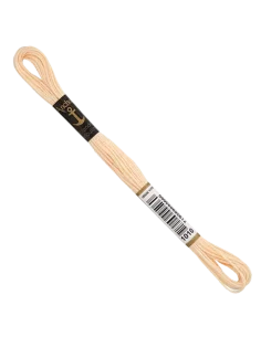 1010