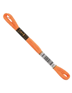 323